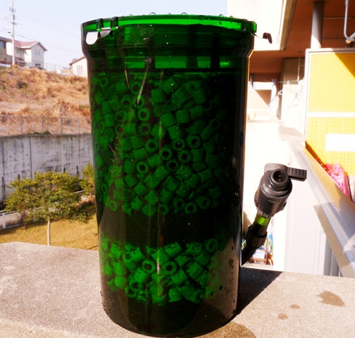 エーハイム ２２１１メイン ２２１３サブフィルターの組み合わせ ヒカリの国のアクア