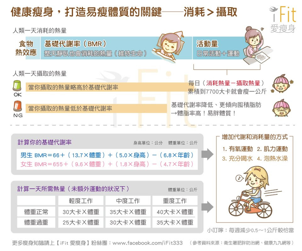 掌握基礎代謝率 打造易瘦體質的關鍵 消耗 攝取