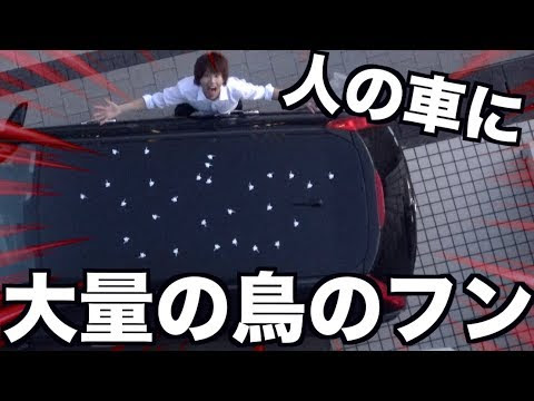 はじめしゃちょー 迷惑 人の車の上に大量の鳥のフン Youtuber動画まとめ