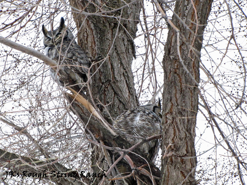 Hangin' On