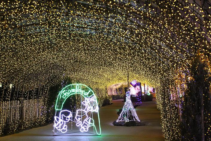 桜寿司のゆかいな仲間たち 阿蘇ファームランド イルミネーション