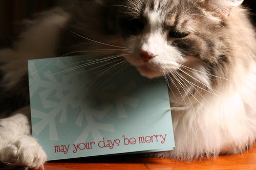 Christmas card, front