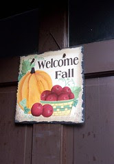 FallSign