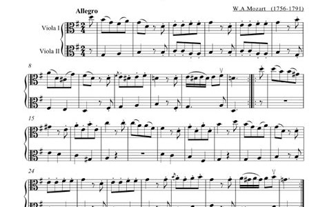 Read Online easy viola duets 2 violas Hardcover PDF