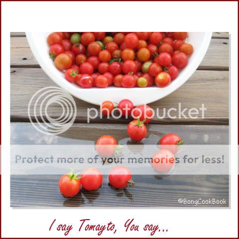 Photo Sharing and Video Hosting at Photobucket