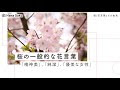 画像をダウンロード 桜 花���葉 意味 457742-桜 花言葉 ��味