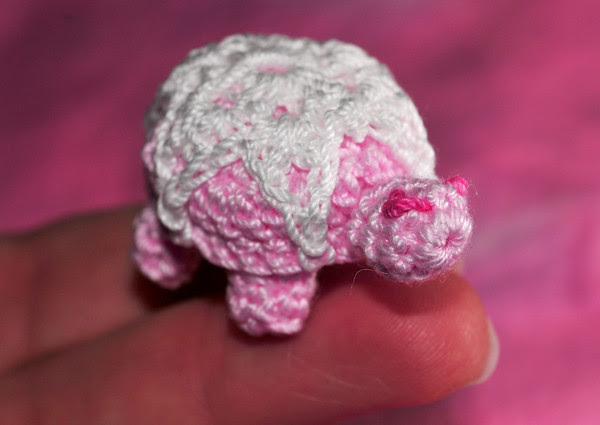 Tiny Turtle
