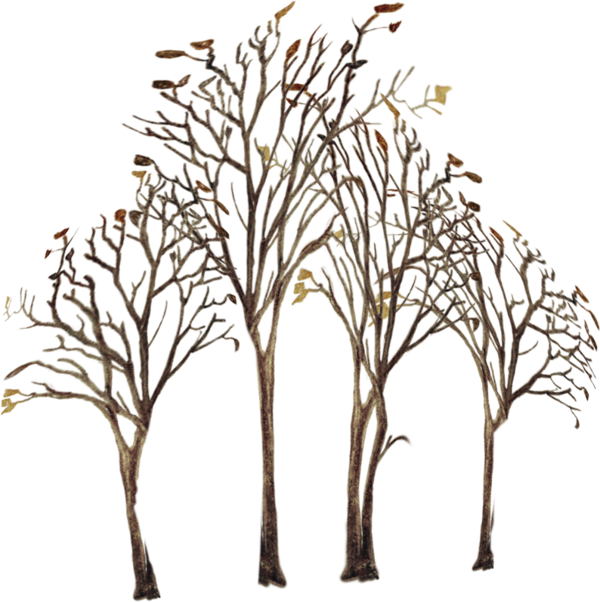 arbre,png