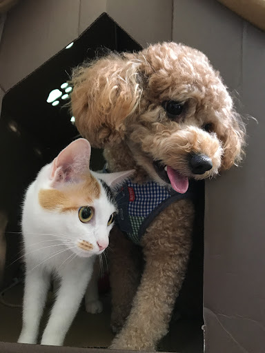 イメージ