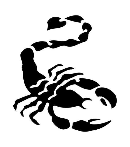 Tribal Scorpion Tattoos on Tribal Scorpion Tattoo Isolated On White  Vector   Stock Vektorgrafik