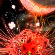 冬の壁紙一覧1 桜や和柄の幻想的な和風壁紙なら和風 幻想壁紙