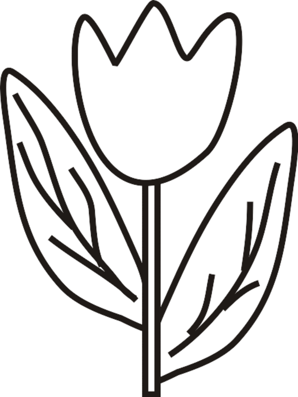 Tulip Coloring Pages For Kids - Coloring Home