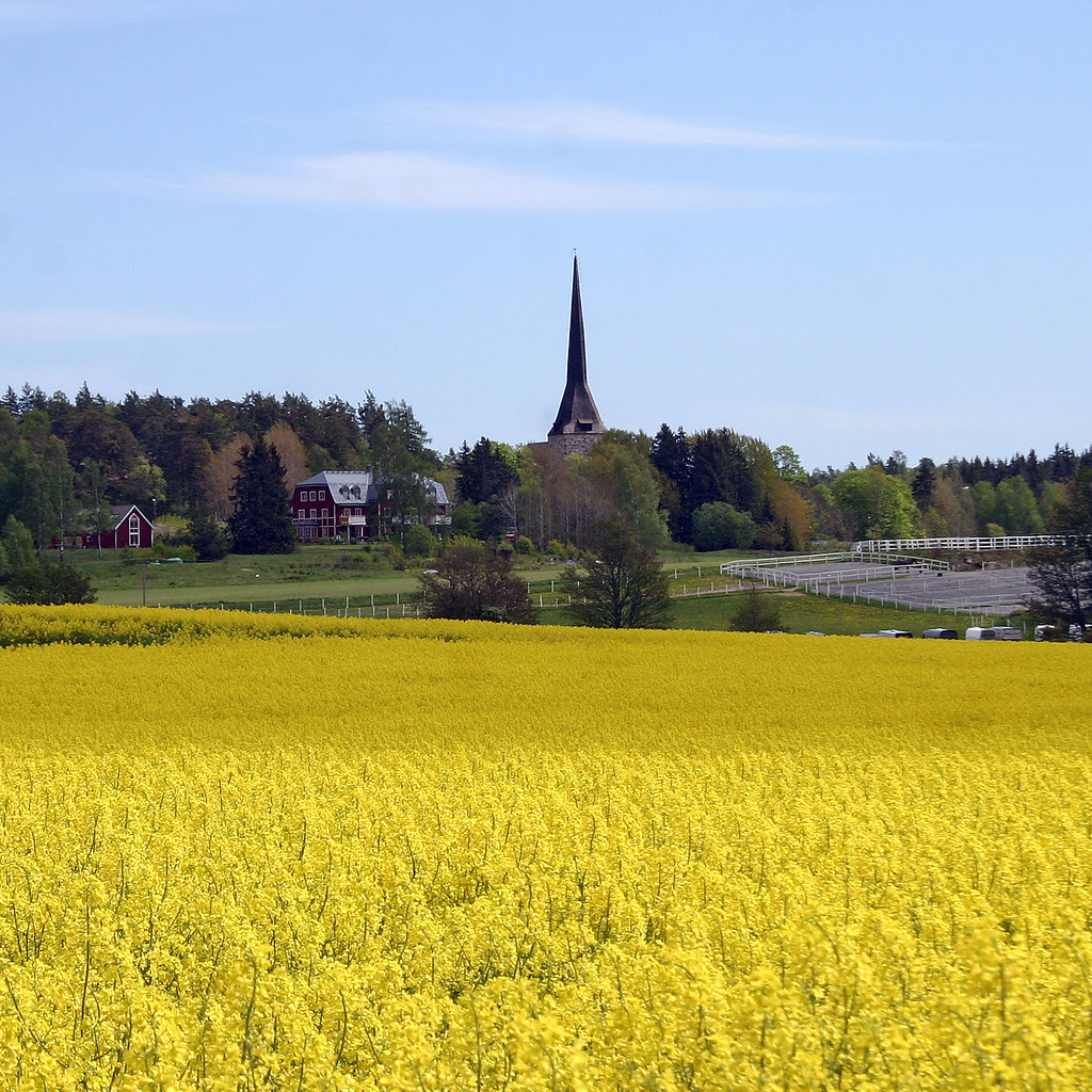 View From a Field
