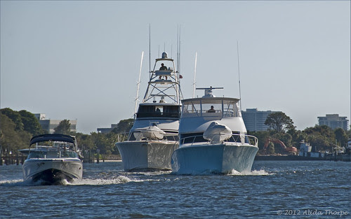Florida boating by Alida's Photos