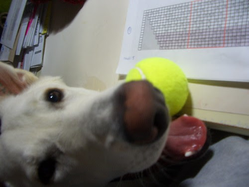 Happy March 25 sneaking the ball up on my desk