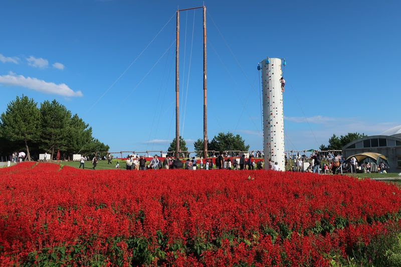 山口ゆめ花博はイベント満載 アクティビティや山口グルメも満喫 山口県 トラベルjp 旅行ガイド
