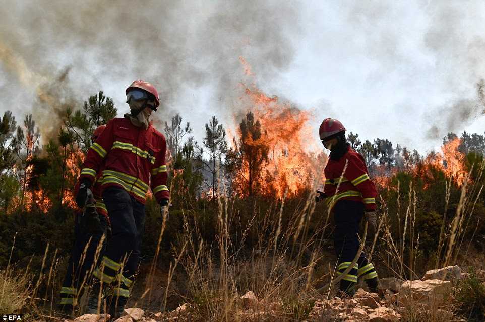 Hundreds of firefighters - backed by water bombing planes - have been battling the fires which have ravaged Portugal (pictured), Italy, Croatia, Albania and Turkey