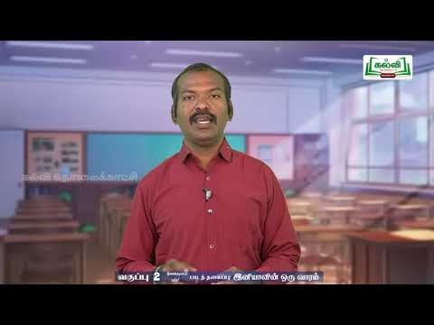 2nd Tamil Bridge Course இனியாவின் ஒரு வாரம், வடிவங்கள் நாள் 7,8 Kalvi TV