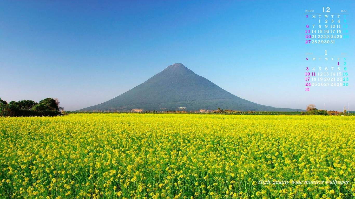 開聞岳と菜の花をモチーフにしました年12月1月のカレンダー付きワイドモニター高画質壁紙 1366 768 アスペクト比１６ ９霧島連山 自然風景 星景写真 花 山野草