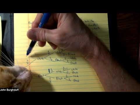 Using a Tree Diagram to Calculate Probabilities in a Multistage Phenomenon