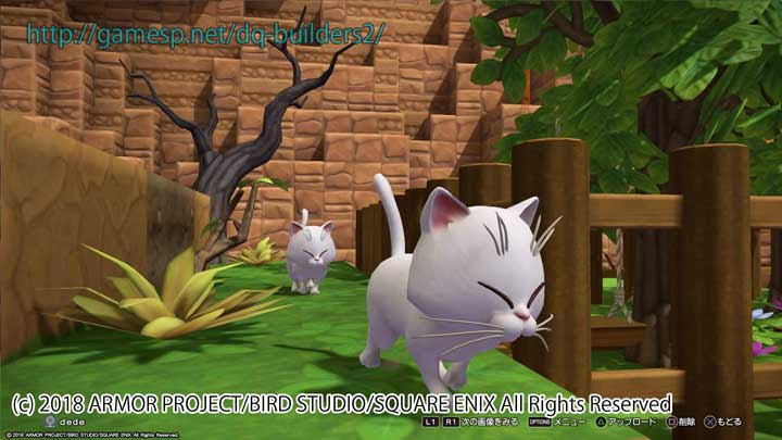 ペットの飼い方と繁殖方法 ドラゴンクエストビルダーズ2攻略 Dqb2