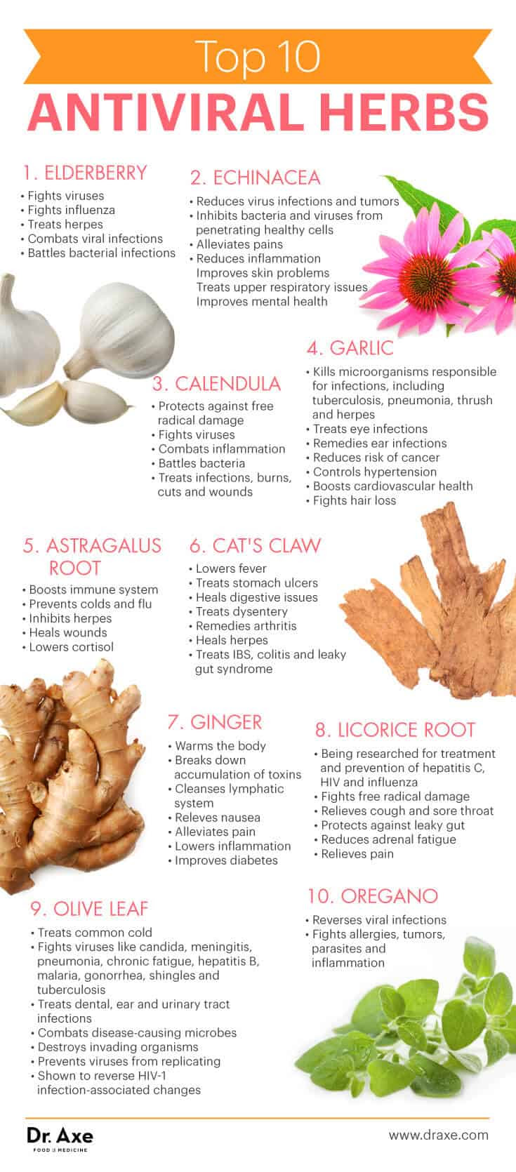 Herbs to boost immune system