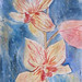 Orchids