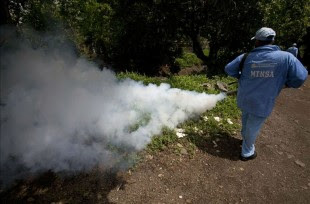 Brigadas del Ministerio de Salud (MINSA) realizan labores de fumigación en un barrio de Managua. EFE/Archivo
