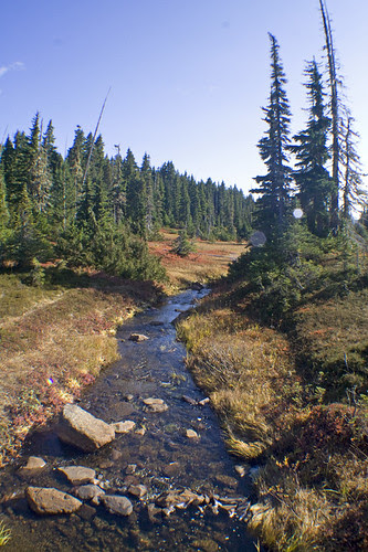 paradise meadows