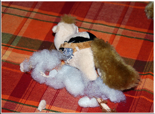 Squirrel-Murder-3