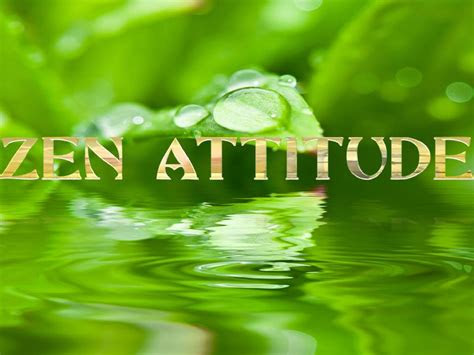 zen attitude backround fond arriere plan images