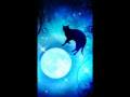 上 壁紙 黒猫 イラスト 綺�� 235828-猫 画像 かわいい 壁紙 パソコン 無料