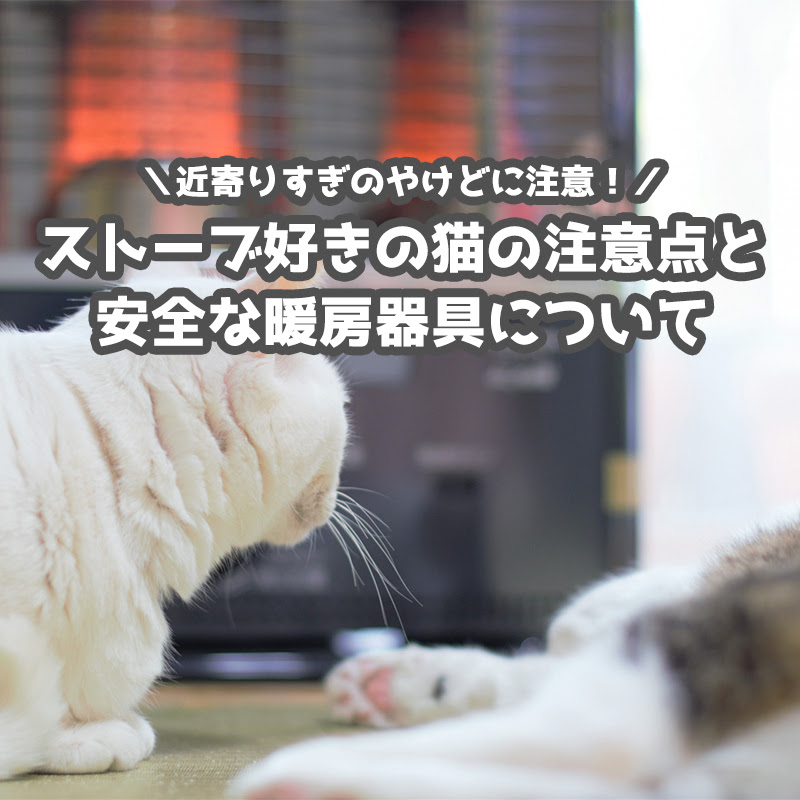 近寄りすぎのやけどに注意 ストーブ好きの猫の注意点と安全な暖房器具について