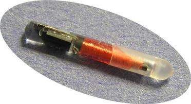 051207_biothermal_chip_02