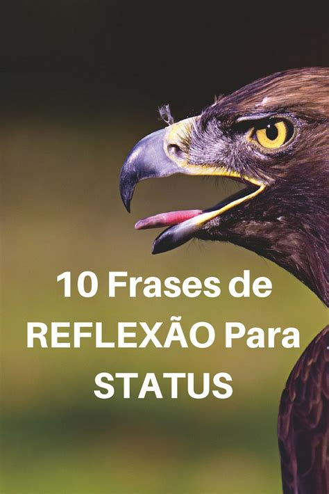 Frases De Reflexão Sobre A Vida Para Status