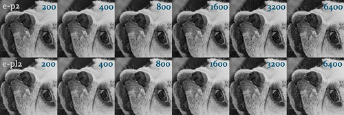 E-P2 versus E-PL2 100% crops