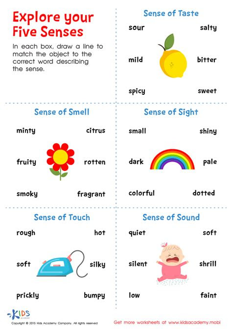  explore your five senses printable free worksheet for kids answers