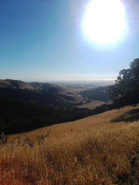 Oil Canyon Overlook