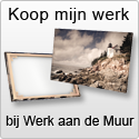 Koop mijn werk op dibond, canvas, poster en ingelijst op Werk aan de Muur