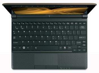Toshiba Mini NB505 in brown
