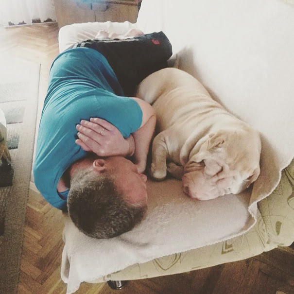 papás que no querían perro en casa