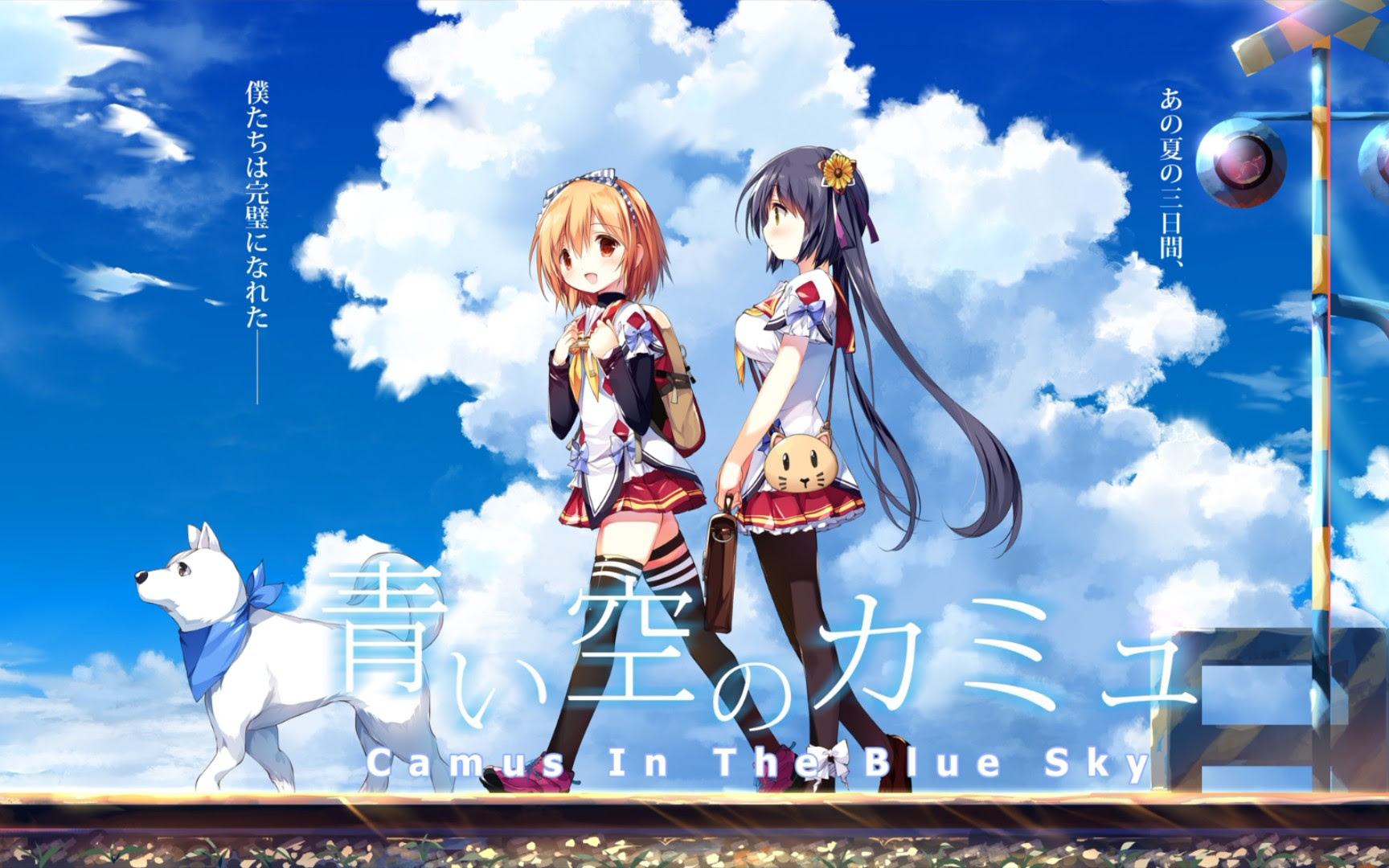 Kai Soft社电波作 青空下的加缪 Op动画 哔哩哔哩 つロ干杯 Bilibili