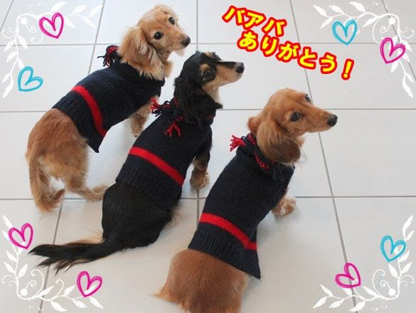 手編みのセーター ミニチュアダックスと遊ぼ Powered By ライブドアブログ