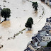Flood / Lxcbyezyt32stm - Provided by the centers for disease control and prevention (cdc).