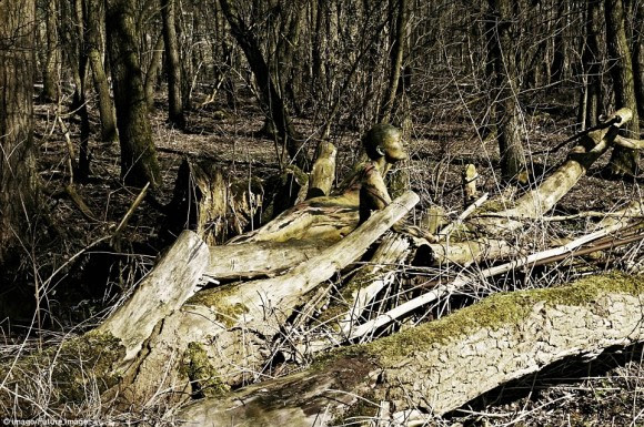 Lady in the Woods