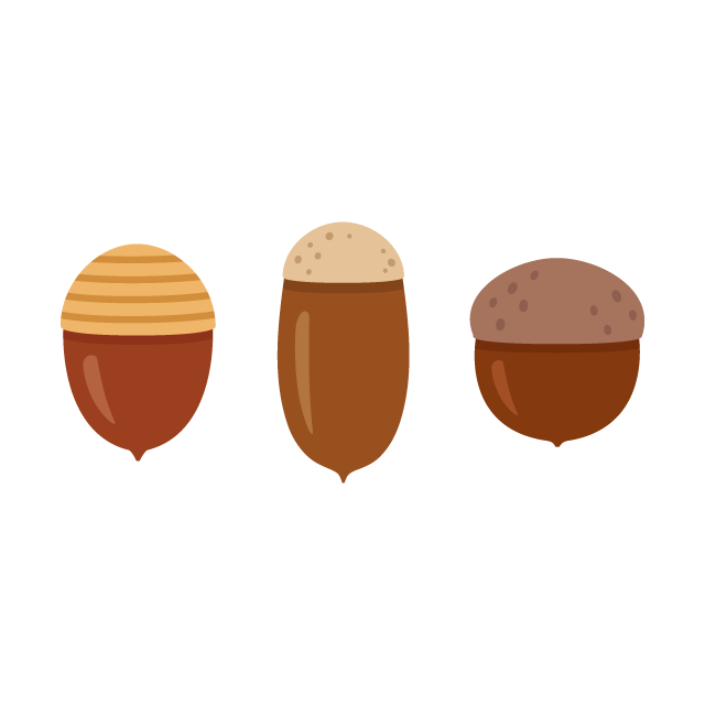 どんぐり 3種の無料ベクターイラスト素材 Picaboo ピカブー 無料ベクターイラスト素材