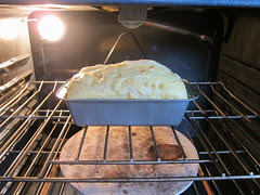 Large loaf of brioche