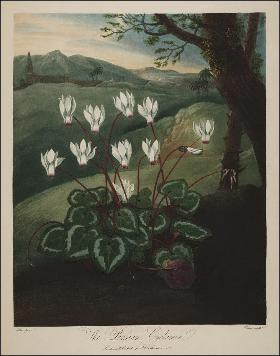 New illustration of the sexual system of Carolus von Linnaeus