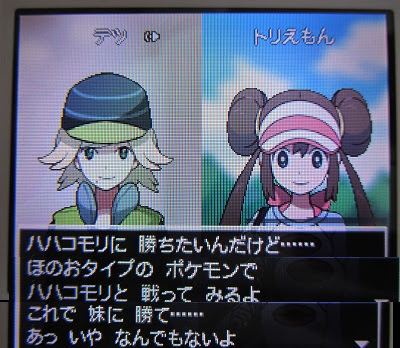 24 取りこぼし その3 鳥馬鹿日誌