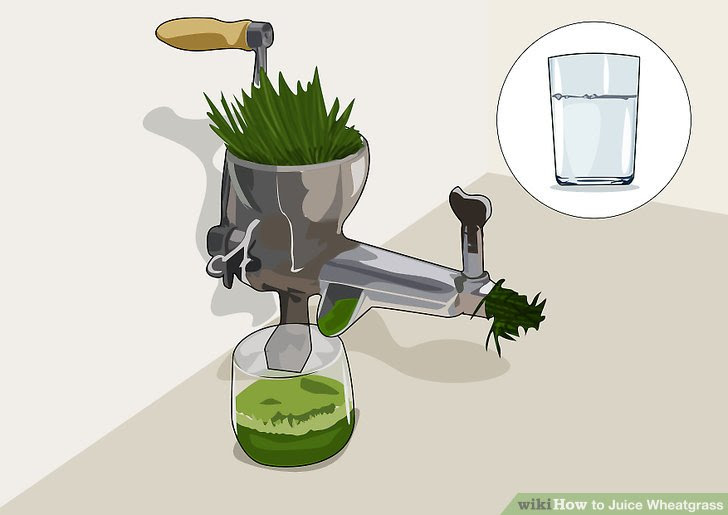 Juice Wheatgrass Step 7.jpg